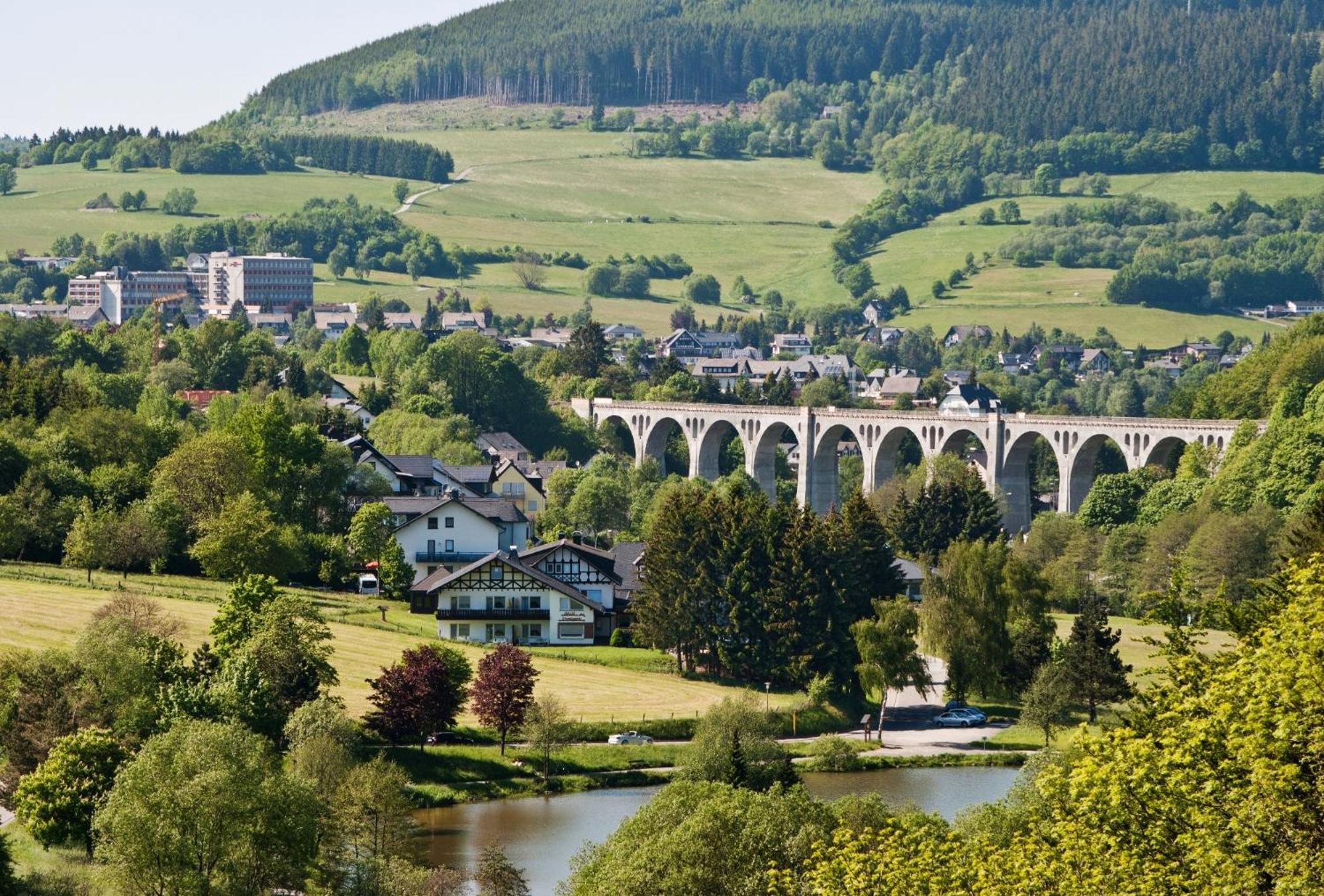 Ferienhaus Diemelquelle - Mit Eingezaeuntem Garten 빌링겐 외부 사진